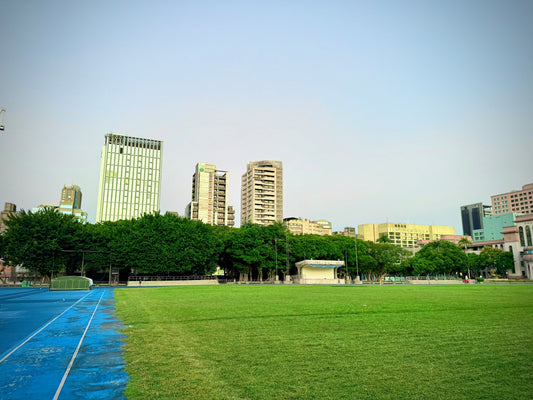 Morning Glory on Wed