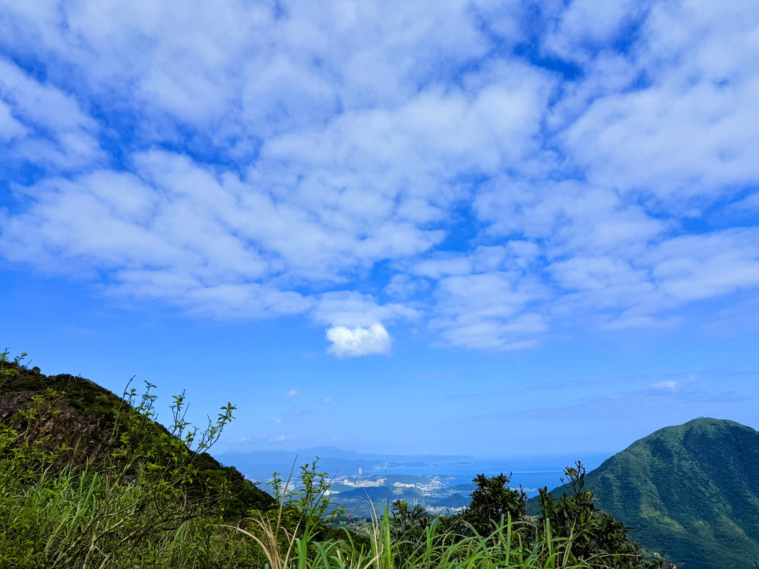 An Oceanfront Trail