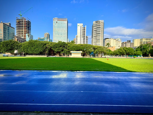 A Sunlit-after-Rain Sunday